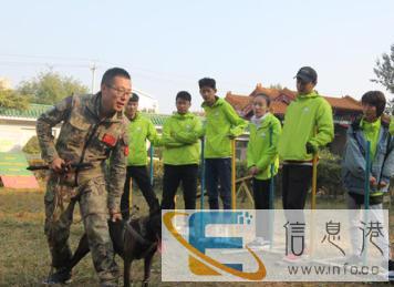 淮北训犬-训狗学校哪家好 圣宠 训狗训犬师中心