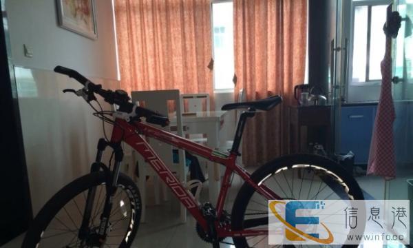 美利达挑战者300出售