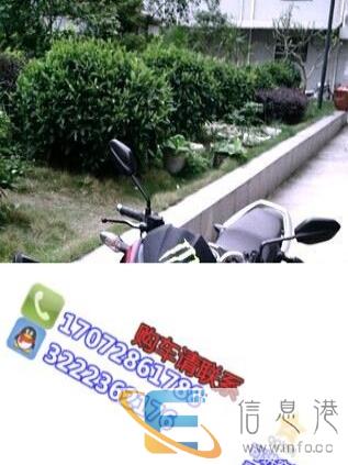 仿哈雷复古摩托