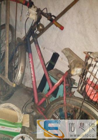 自家山地自行车