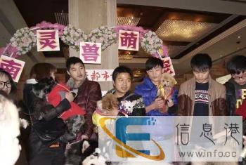 宠物训练，行为纠正