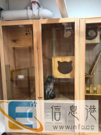 宠物五星级酒店 寄养