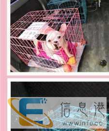 放心托运，全程安全保障