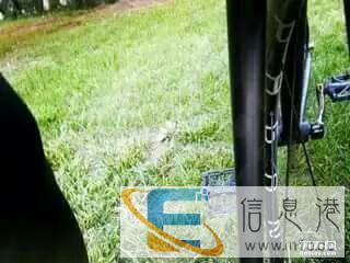 AV车架海啸前叉吸奶力车把hed后轮橄榄链