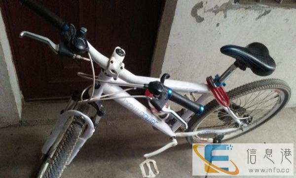 白马山地自行车