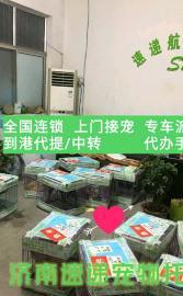 济南速递宠物托运24小时一站式服务