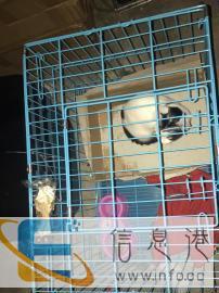 金华宠物托运到全国