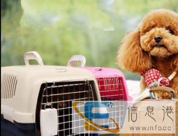 8年服务品质宠物托运价格100起