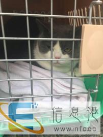 金华绍兴杭州宠物托运