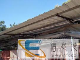 宠物训练，可上门接送，您爱宠的贴心管家