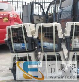 长旺全国宠物托运中心