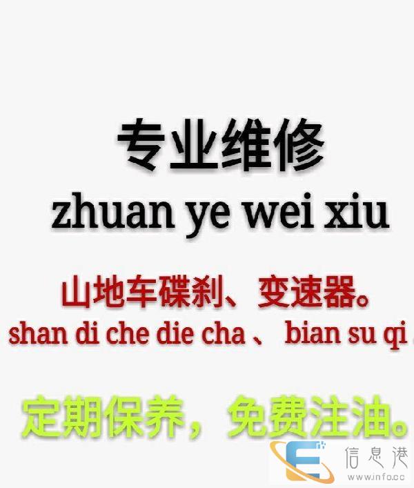 专业安装维修中低端山地车公路车变速器碟刹定期保养免费注油