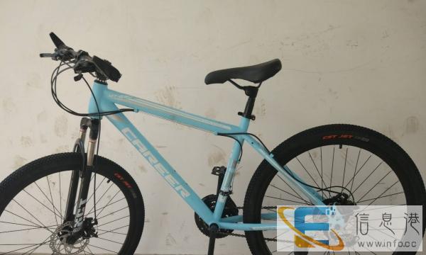 全新上海 麟龙战鹰山地车前后碟刹21变速正新轮胎380