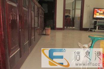 宠物寄养价格美丽