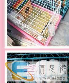 宠物托运，您的需要就是我们的责任