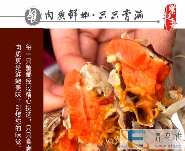 兴化红膏香辣大闸蟹