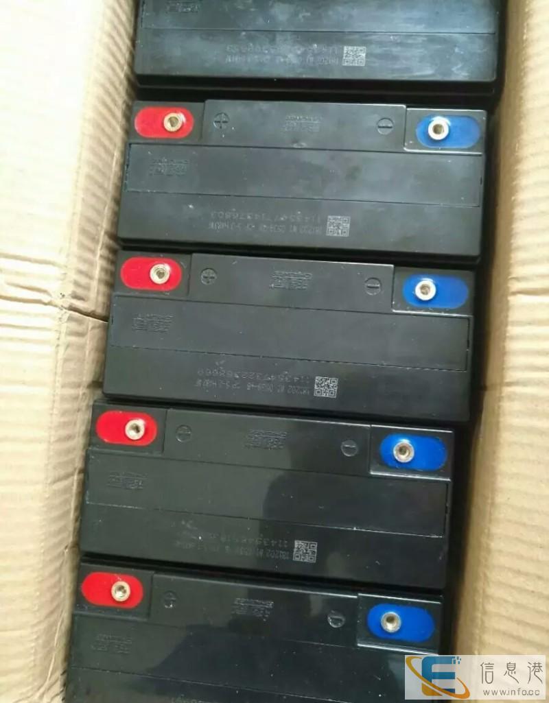 电瓶48V60V72V 电瓶6dzf20 12个