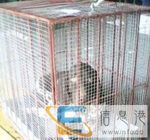 九江宠物托运的方式 航空托运、随机托运、汽车火车