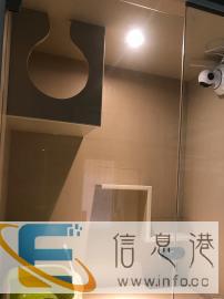 宠物猫狗寄养 提供上门喂养