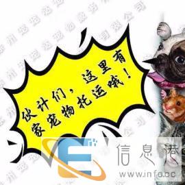 宠宠哒宠物托运为爱护航喂食喂水专人照看