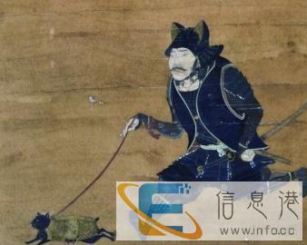 节假日遛养猫狗的