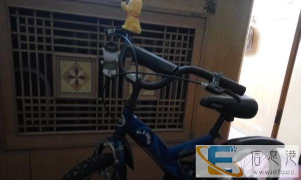 捷安特自行车,小孩的