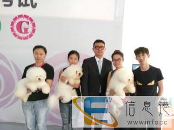 宠物森林美容师培训学校