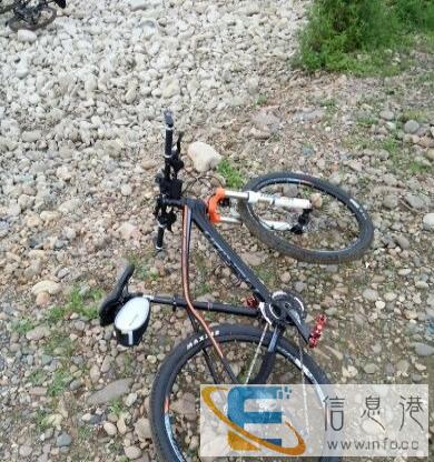 美利达挑战者800
