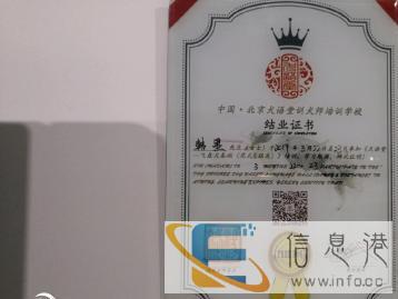 锦州驯犬国家高级训犬师