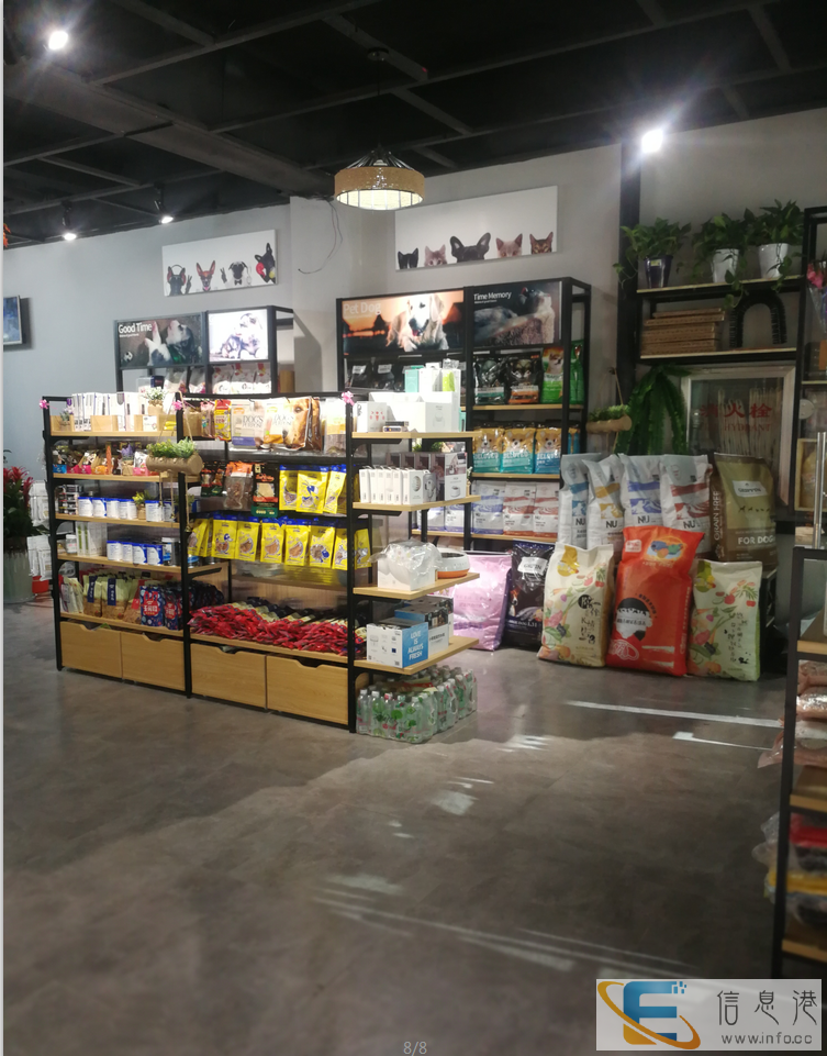 酒泉爱宠式宠物医院