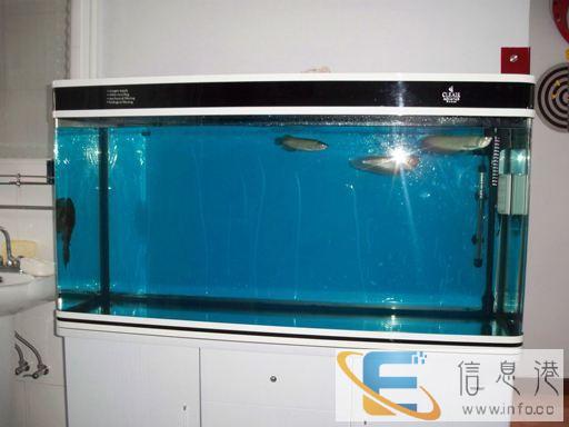 昆明风水鱼缸专业清洗维护服务