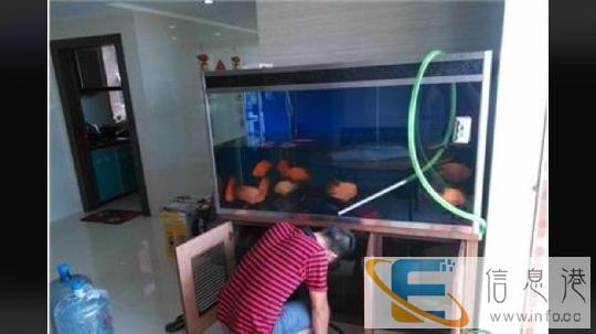 专业处理鱼缸水质 鱼缸造景 鱼缸清洗