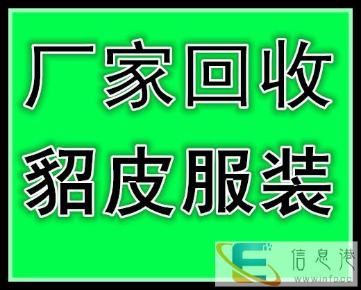 洛阳貂皮回收洛阳哪有貂皮收购的诚信为本