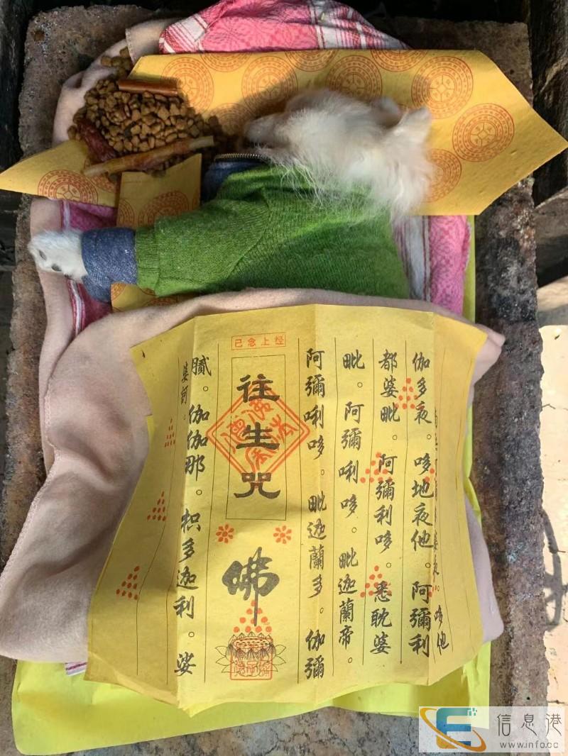 兰州哪里有宠物火化宠物殡葬