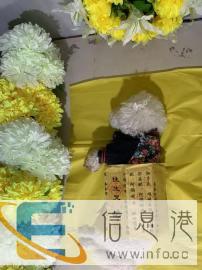 哪有宠物殡葬宠物火化宠物善终价格多少