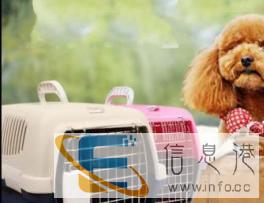 全国连锁8年服务品质宠物托运价格100起