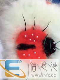 西藏宠物美容师专业人才培训，就近学习包就业