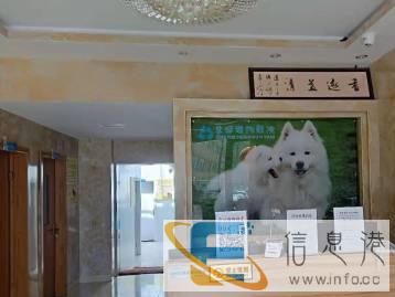 宠物美容价格面议