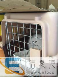 宠物托运价格100