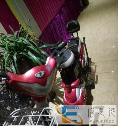 台铃电动车出售
