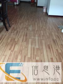 洛阳家庭寄养宠物寄养猫咪