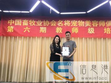 宠物美容培训学习