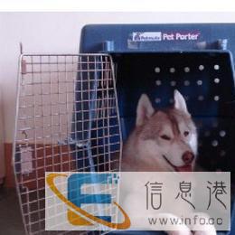 环众宠物,专业办理宠物托运,随机,单运,办理检疫证