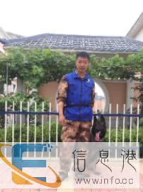 宠物训练价格面议