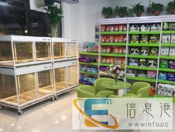 恒大西门宠爱有家美容洗澡春节寄养火爆预定中