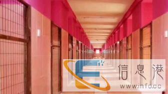 恩宠天地宠物训练、寄养、乐园游泳、训犬师、美容师培训