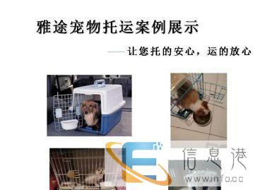 宠物托运全国往返，空运陆运上门接送一条龙服务