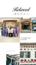 聊城市好主人宠物医院小动物全科医院