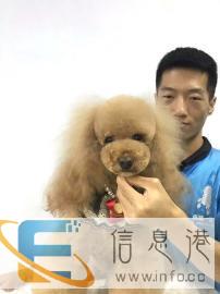 一诺宠物美容培训学校 伴随着国民经济的持续增长