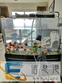 鱼缸清洁换水调节水质服务